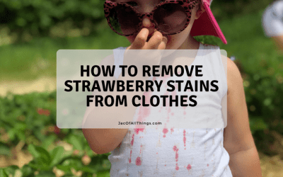 Strawberry Stain Removal