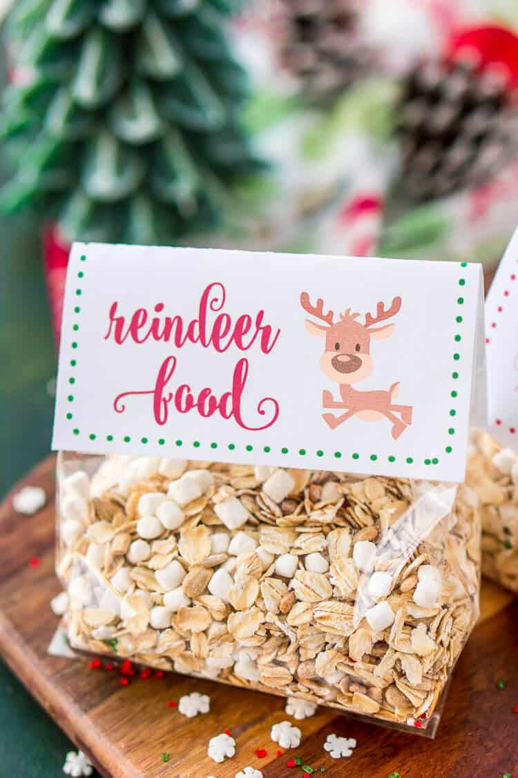 Family Christmas tradition idea to make magic reindeer food