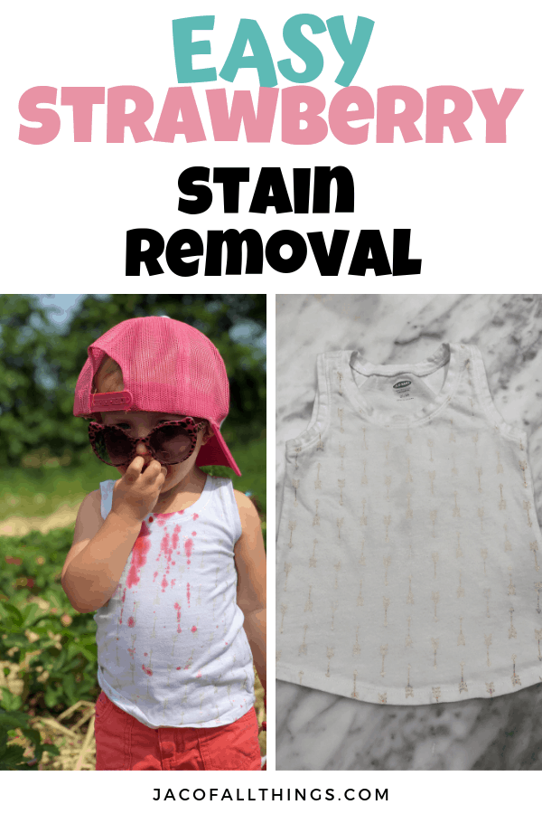 Don't let your clothes be ruined from strawberry stains! Learn how to remove strawberry stains with just a few simple household ingredients! This simple life hack will get your shirts clean again in no time! #stainremoval #strawberries #lifehacks