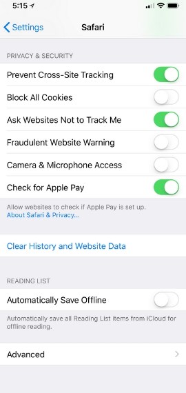 Clear Browser Data to free up space on iPhone