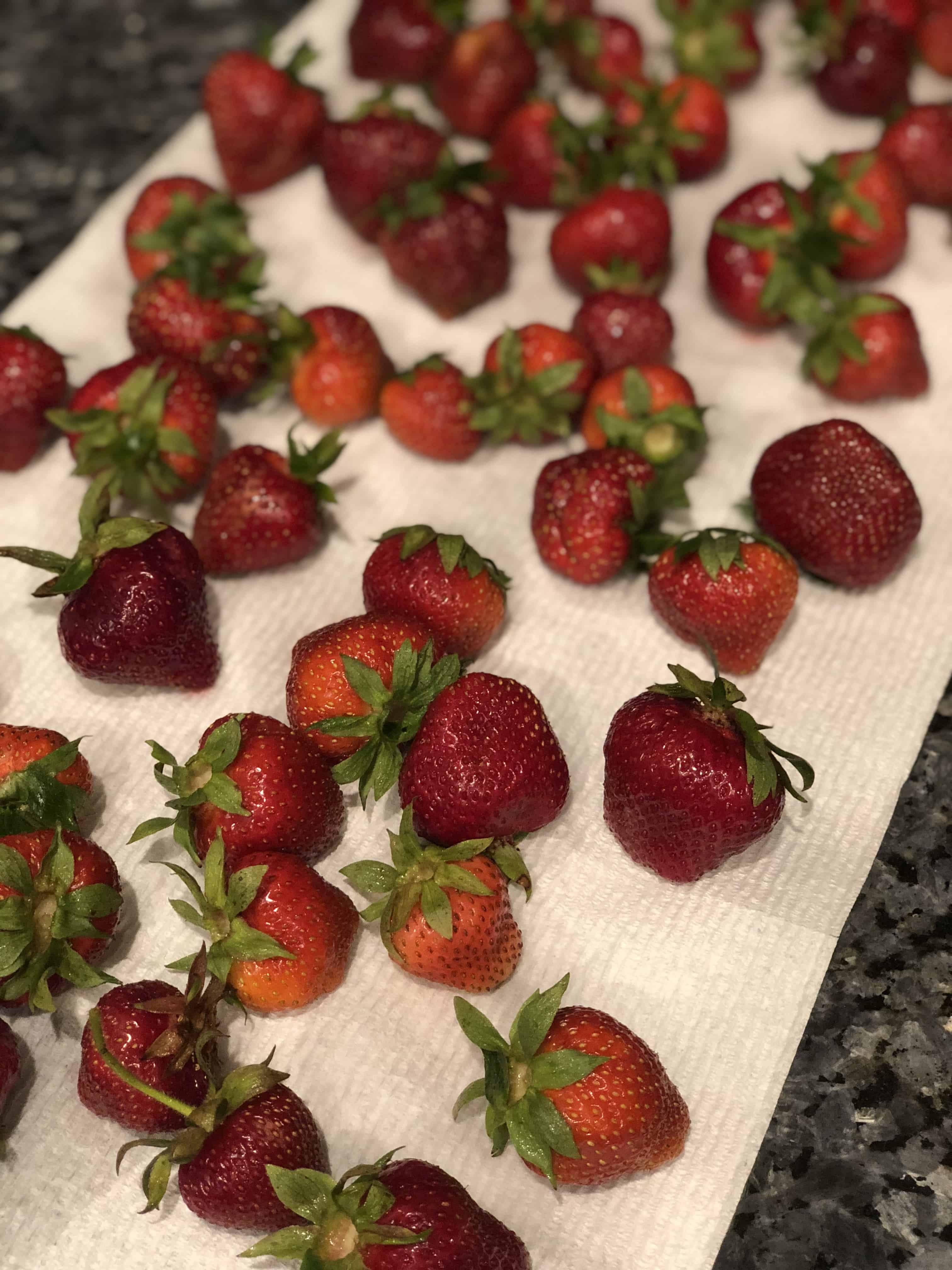 Dry all moisture off strawberries to keep strawberries fresh