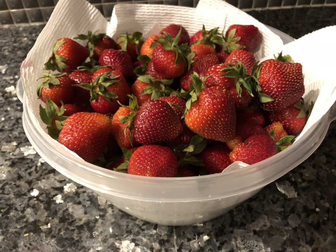 Simple hack to keep strawberries fresh for up to 2 weeks jac of