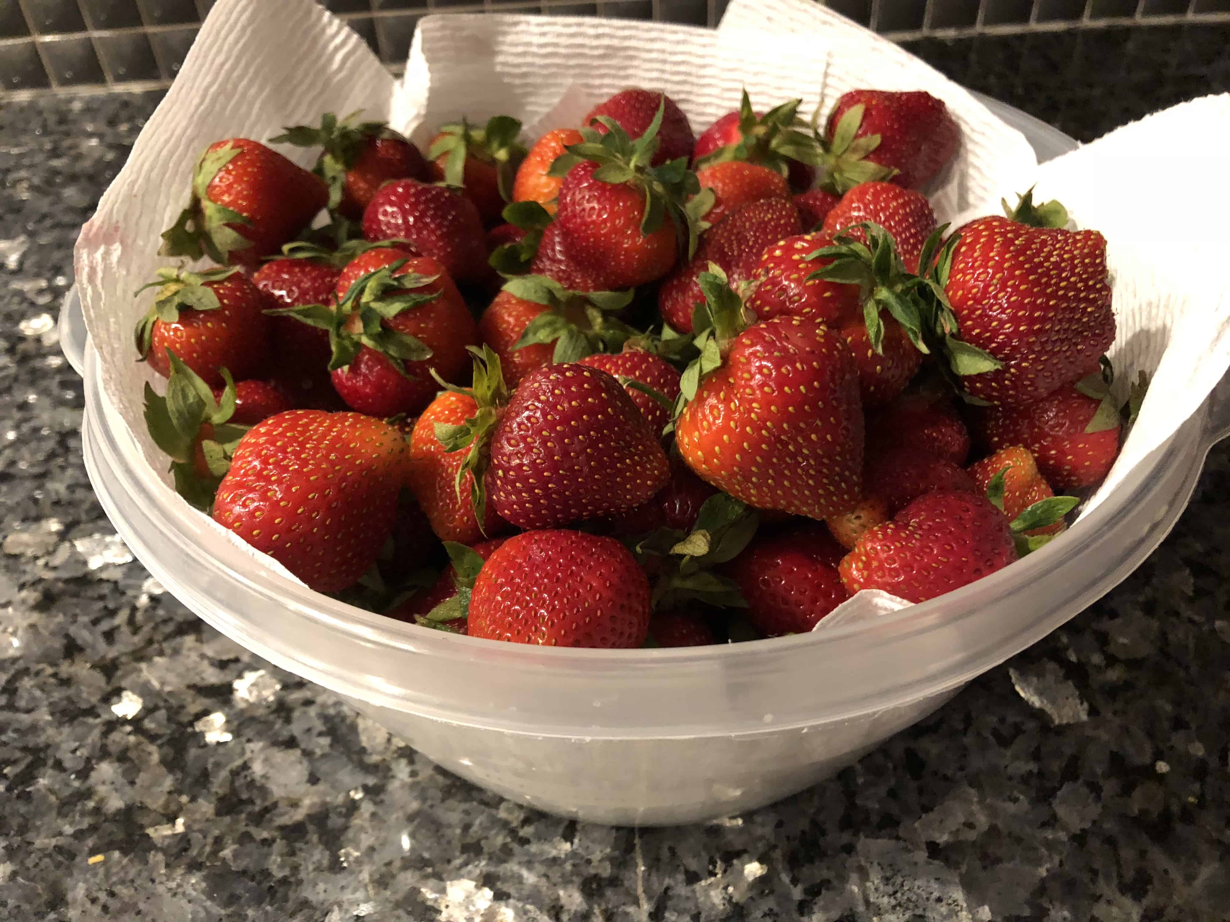 Store in a paper towel lined bowl to keep strawberries fresh