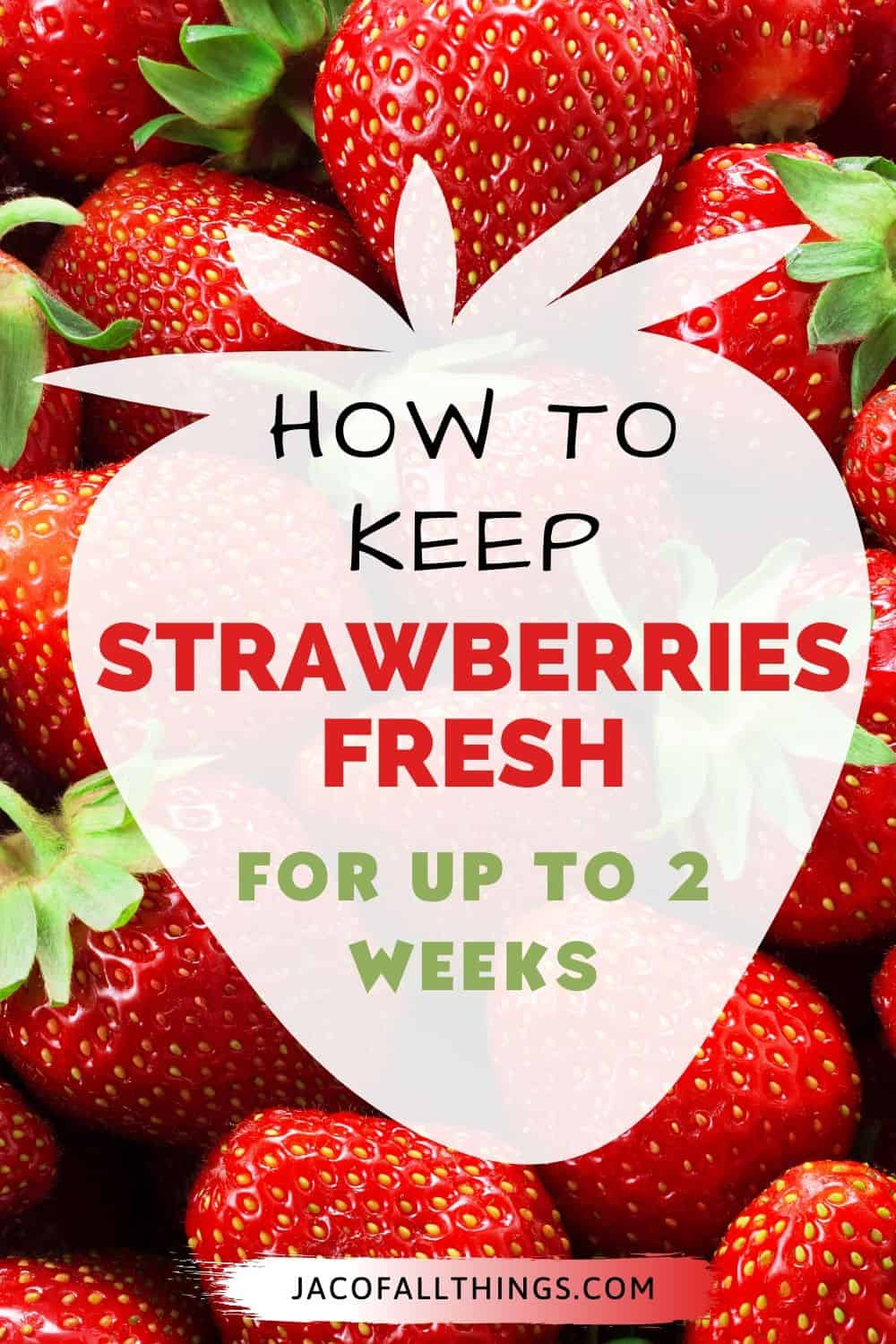 how to keep strawberries fresh