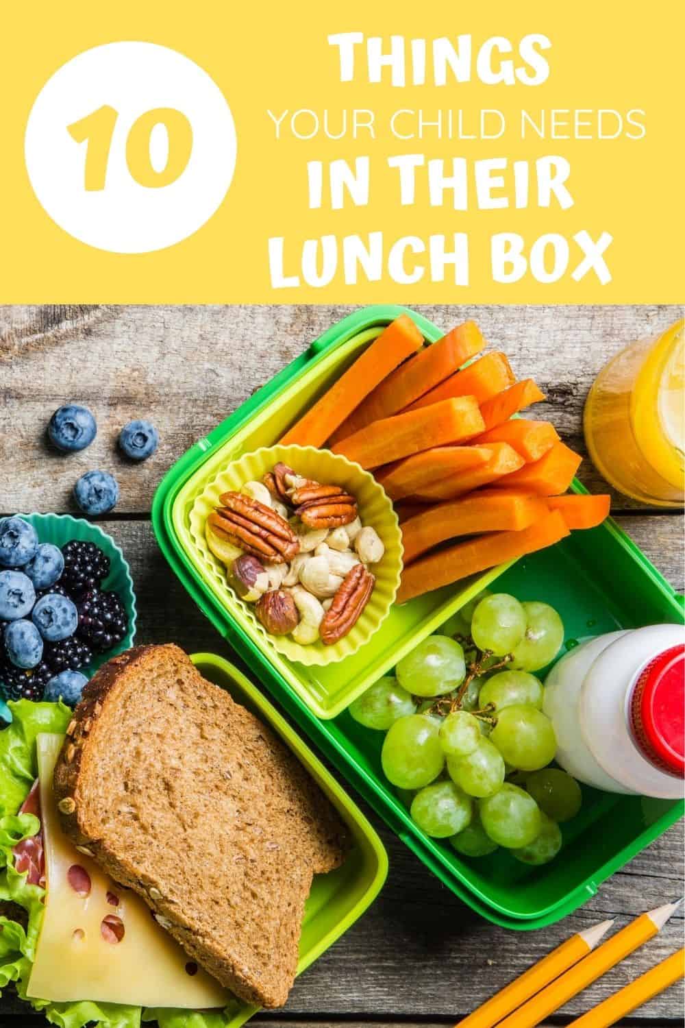 school lunch box must haves