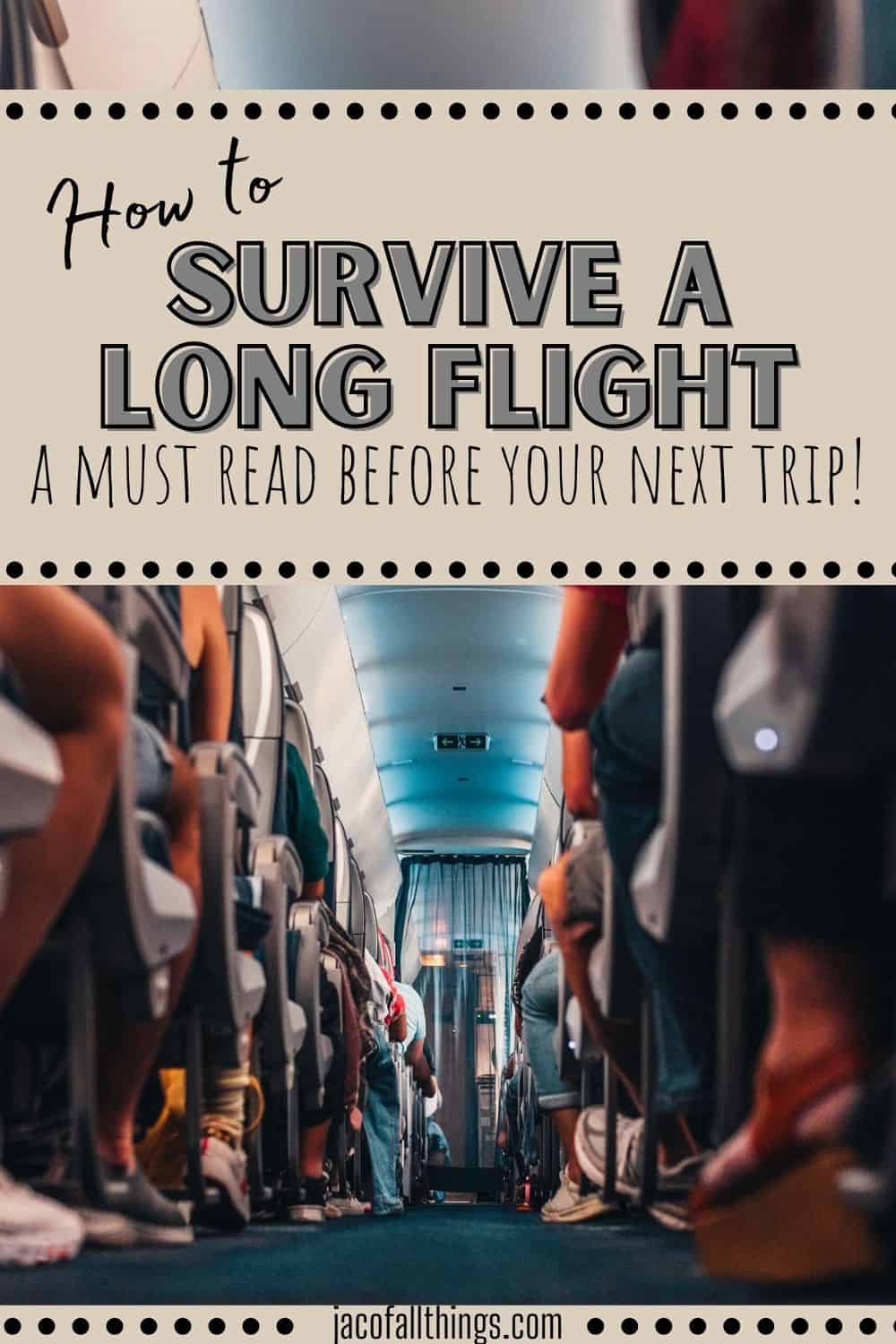 Do you have an long flight coming up? Check out these tips to survive your flight and actually enjoy it! 